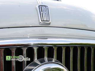 FIAT 1100 usata 14