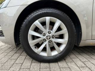 SKODA Octavia usata 15