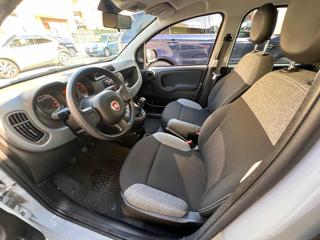 FIAT Panda usata, con Controllo trazione