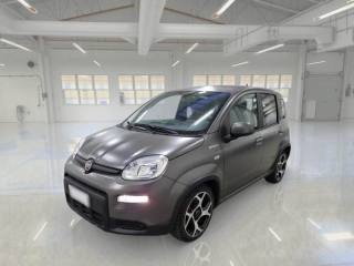 FIAT Panda 1.0 FireFly S&S Hybrid Sport