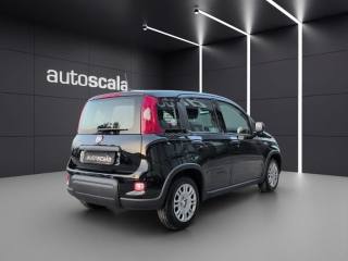 FIAT Panda usata, con Chiusura centralizzata