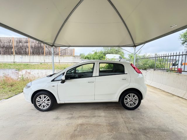 FIAT Punto usata, con Chiusura centralizzata