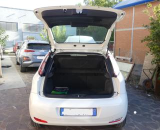 FIAT Punto usata 13