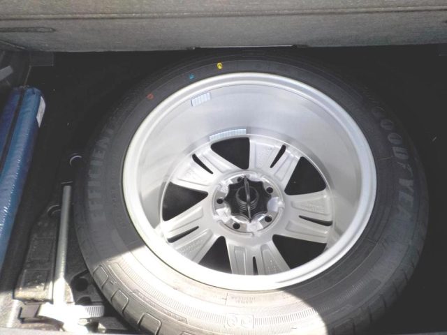 VOLKSWAGEN Golf usata, con Filtro antiparticolato