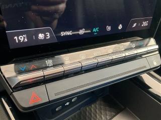 RENAULT Austral usata 22