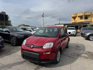 FIAT Panda usata, con Airbag Passeggero