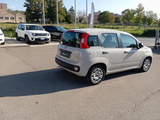 FIAT Panda usata 22