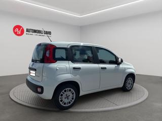 FIAT Panda usata, con Airbag Passeggero