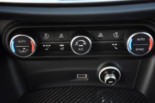 ALFA ROMEO Stelvio usata, con Vetri oscurati