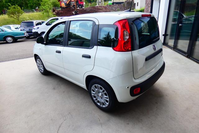 FIAT Panda usata, con Alzacristalli elettrici
