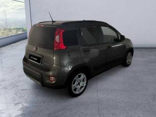 FIAT Panda usata, con Antifurto