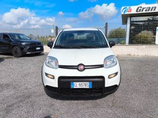 FIAT Panda usata 1