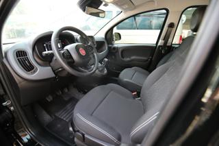 FIAT Panda usata, con Controllo trazione