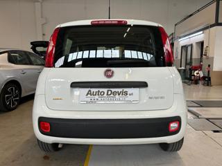 FIAT Panda usata, con Antifurto