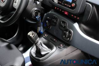 FIAT Panda usata 49