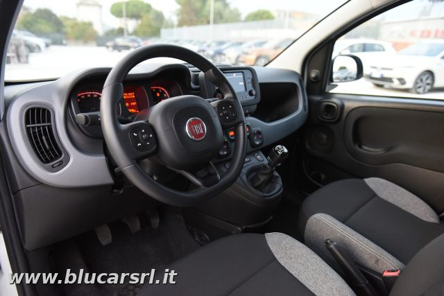 FIAT Panda usata 6