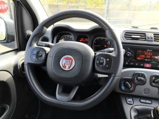 FIAT Panda usata 9