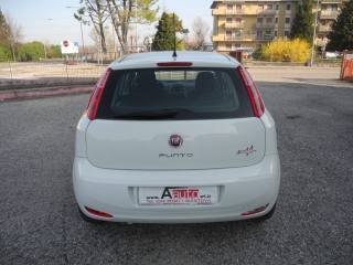 FIAT Punto usata 65