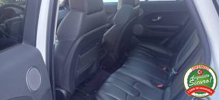 LAND ROVER Range Rover Evoque usata, con Cerchi in lega