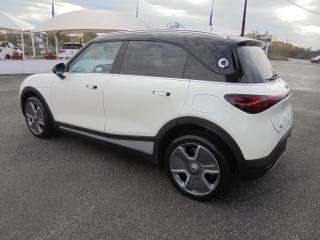 SMART Smart usata, con Controllo trazione