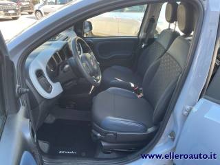 FIAT Panda Cross usata, con Fendinebbia