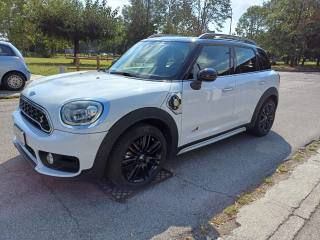 MINI Countryman usata, con Cerchi in lega