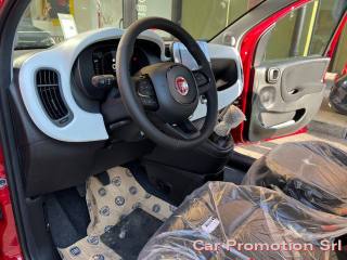 FIAT Panda Cross usata, con Chiusura centralizzata