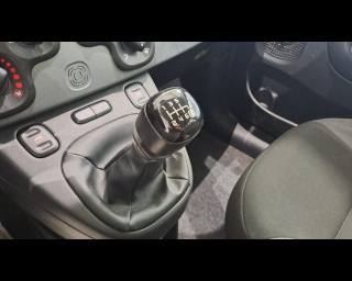 FIAT New Panda usata, con Volante multifunzione