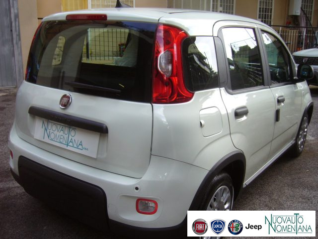 FIAT Panda usata, con Cruise Control