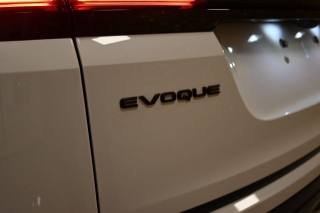 LAND ROVER Range Rover Evoque usata 101