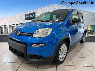 FIAT Panda 1.0 FireFly S&S Hybrid Pandina