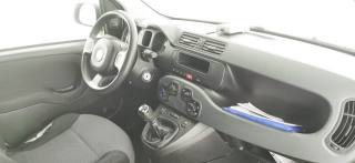 FIAT Panda usata 37