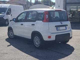 FIAT Panda usata, con Chiusura centralizzata