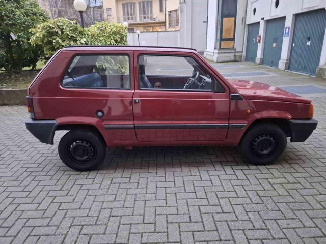 FIAT Panda usata 2
