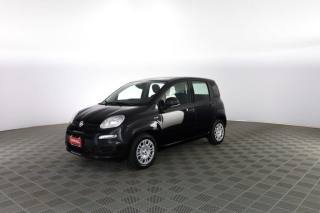 FIAT Panda usata 6