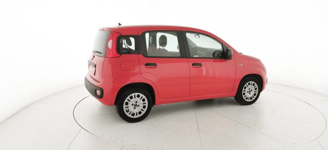FIAT Panda usata 18