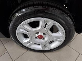 FIAT Panda usata, con Cronologia tagliandi