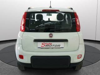 FIAT Panda usata 17