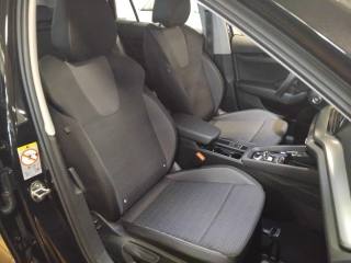 SKODA Octavia usata, con Fendinebbia