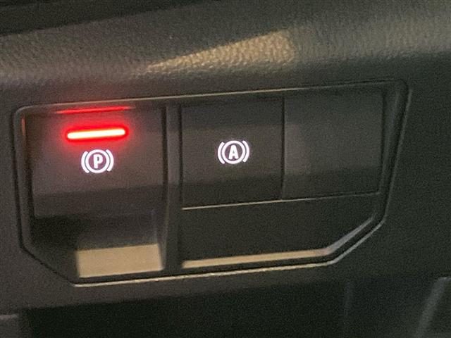 RENAULT Austral usata 29