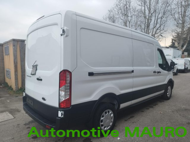 FORD Transit usata, con Fendinebbia