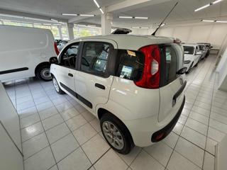 FIAT Panda usata, con Alzacristalli elettrici