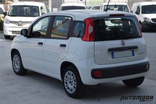 FIAT Panda usata, con Airbag Passeggero