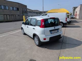 FIAT Panda usata 17