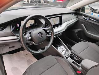 SKODA Octavia usata, con Cronologia tagliandi