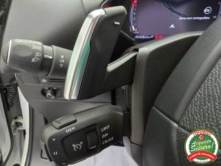 DS AUTOMOBILES DS 3 Crossback usata, con Servosterzo