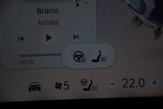 SMART Smart usata, con Controllo trazione