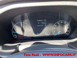 FORD Transit usata, con Servosterzo