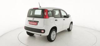 FIAT Panda usata, con Controllo trazione