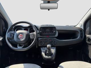 FIAT Panda Cross usata 11